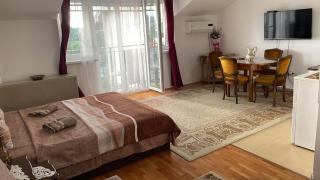 Apartman Andjela - Vrnjačka Banja - 9