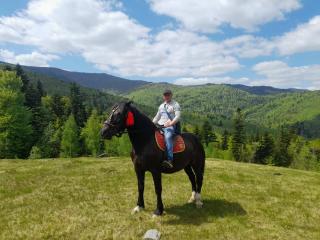 Cottage "Kliverent" - 6