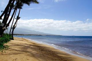 Kealia Resort 203 - Kihei - 9