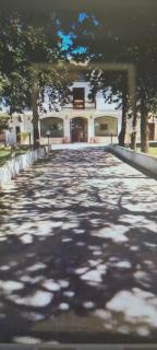 B&B Uliveto - Cerignola - 2