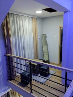 D&M Apartman Dojkinci - 3