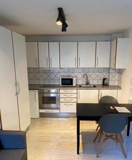Studio Apartment Copenhagen frederiksberg - Copenaghen - 5