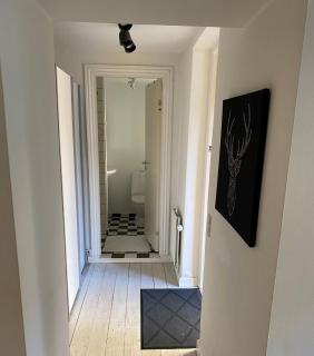 Studio Apartment Copenhagen frederiksberg - Copenaghen - 2