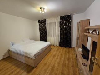 Elena's Studio Brasov Coresi - Brasov - 3