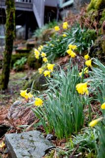 Langdale Cottage - 5 bedrooms and 5 bathrooms - Chapel Stile - 2