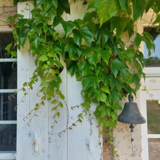 Maison d'hôtes de La Roche Tabary - - 7