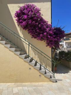 B&B L'albero di Melograno - Seccheto - 3
