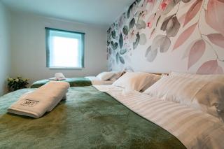 MIZU APARTMA VAS LIPA OLIMJE - Podčetrtek - 0