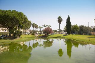 The Navigator - Palm Oasis Alvor - All Inclusive - Alvor - 8
