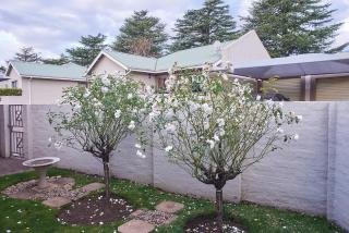 2 The Mews - easy walk to town and the CVC - Clarens - 7