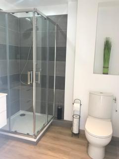 Bel appartement rénové, spacieux et lumineux - Bourg-en-Bresse - 3