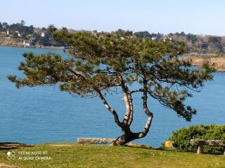 Au coeur des Rias, studio Merrien proche de la mer - 2