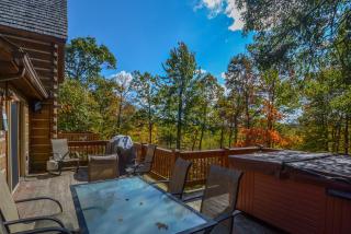 High-Skis Villa - McHenry - 8