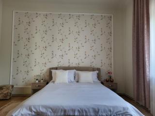 Pandora Guest House - Cluj-Napoca - 9