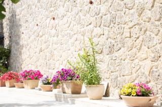 La Bella Vita - Luxury Holiday House close to Corfu Town - Potamós - 2