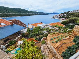 Guest house Davorka - Neum - 1
