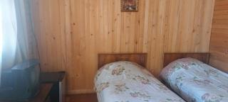 Home near park - Borjomi - 4
