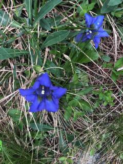 Chamrousse 1700 - Les Domaines de LArselle - Silènes C11 - Classé 3 étoiles - 2