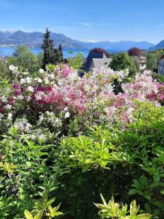 La finestra sul lago - in villa con vista e posto auto coperto - Stresa - 2