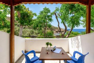 Agia Marina Apartments 10 Andros - Andros - 5