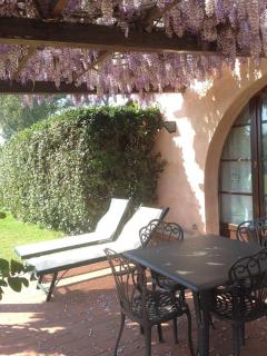 Fattoria Cirene - 4