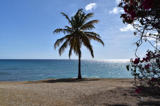 Mel's Art Place by Coastal View7 - 1