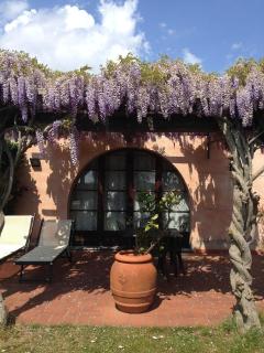Fattoria Cirene - 1