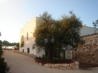 Tenuta Sicilia - Ostuni - 2