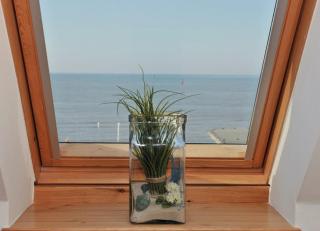 Seeblume - Wangerooge - 5