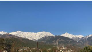 Riva dreams - Dharamshala - 6