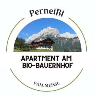 Bio Bauernhof Perneißl Apartment - Bischofshofen - 0