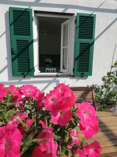Casa Andreina - Salto - 7