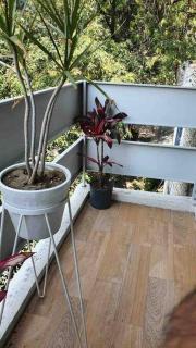 Cozy apartment in Condesa´s heart ! - 7