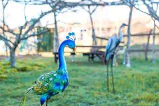 Remedios de Luna - 3