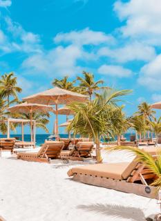 Chogogo Dive & Beach Resort Bonaire - 8