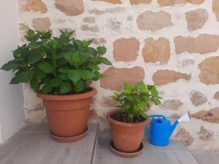Casa Rural Triticum - - 4
