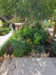 Studio apartman T and T - 1