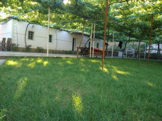 Guesthouse zvina - 9
