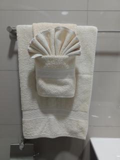 Apart Hotel Campos Rancagua - Rancagua - 4