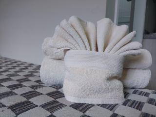 Apart Hotel Campos Rancagua - Rancagua - 3