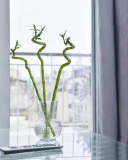 Glassy Apartment - Atenas - 6