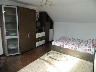 Villa Blacky - Cluj-Napoca - 8