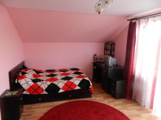 Villa Blacky - Cluj-Napoca - 6