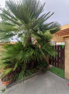 VILLA LORETTA - Torre dell'Orso - 3