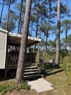 Charmant Mobilhome avec espace vert au milieu des pins proche de la plage sur le camping "les dunes de contis" - Saint-Julien-en-Born - 0