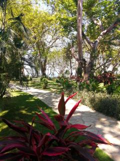 Xalli Beach Hotel - 4