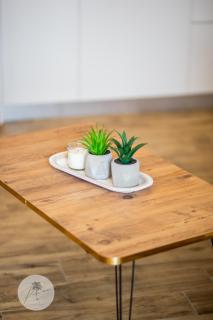 PALMERA STUDIOS - Ofrínion - 5