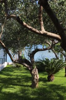 Miamar - Trogir - 4
