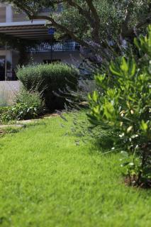 Miamar - Trogir - 5