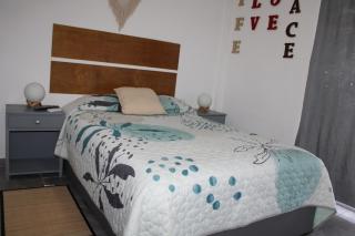 Centrico Departamento 201 - 2